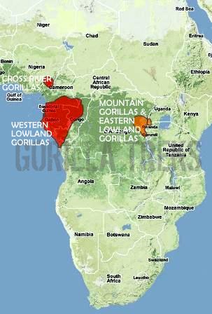 Map Of Where Gorillas Live - Gorilla Habitat Map in Democratic Republic